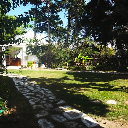 Апарт отель Casa Di Roma Парос Экстерьер фото